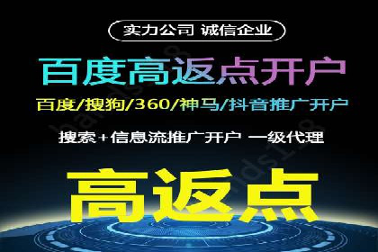 专业SEM代运营公司案例分析